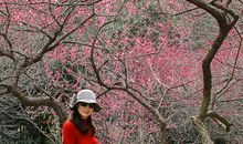 人生路上我无悔