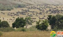 与山共存的记忆