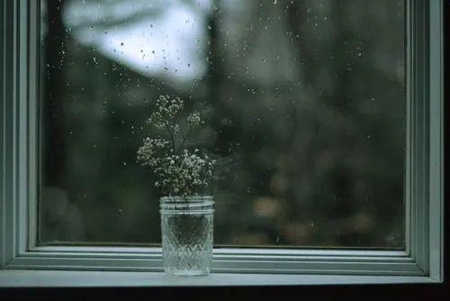 从开花季节的起点俯瞰雨季