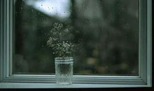 花季的门槛上眺望雨季