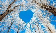 只有经历才会明白