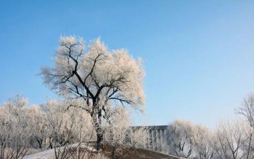 校园雪景