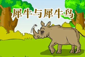 犀牛和犀牛鸟