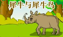 犀牛与犀牛鸟读后感