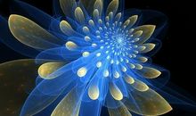 让平凡绽放光彩