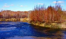 秋天的脚步近了