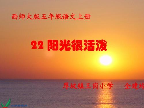 “阳光很热闹”续（3）_550字