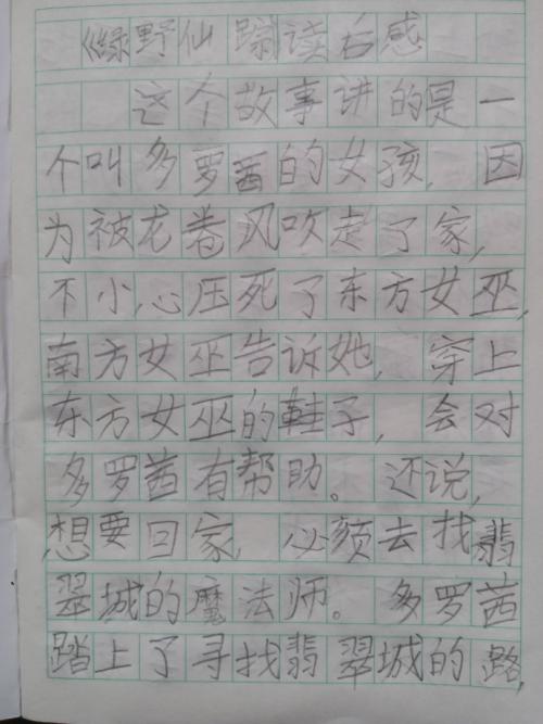看了《绿野仙踪》之后