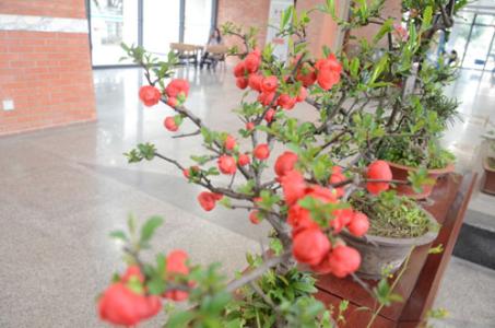 我和图书馆有协议