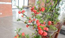 我与图书馆有个约定