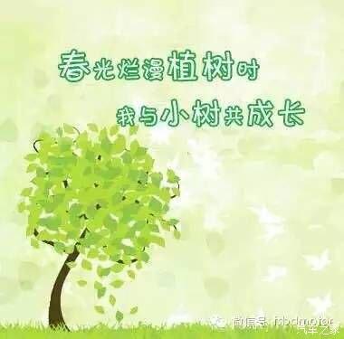 我从小树长大