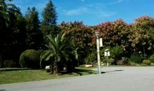 阳光和我有个约会