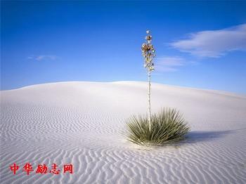 强大的魅力