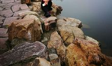 春天的中央山公园