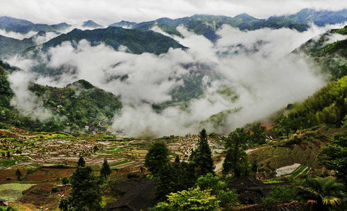 我家的风景