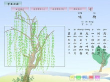 改写“樱柳” _450字