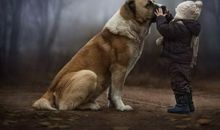 狮子回来了_1200字