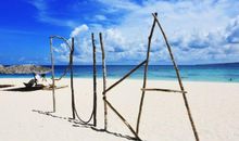 心之所向，道之所往