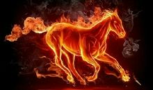 火焰的力量_550字