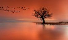 一个深刻的启示