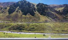 这片土地哺育了我