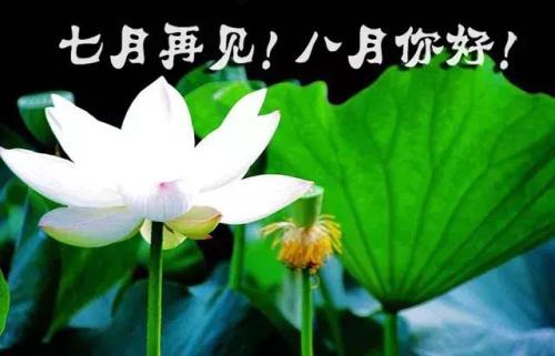 今年七月