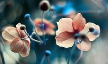 大自然是艺术家