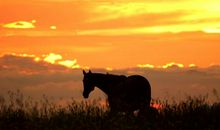 夕阳中的歌声_800字