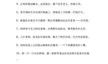 小学生优美段落摘抄大全