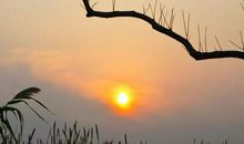 拭去眼上的尘埃