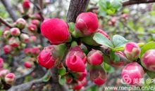 一路上有你_1200字