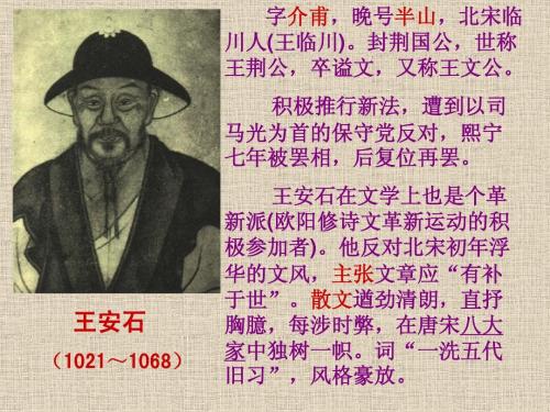 小仙子Su Yani_900字