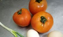 尝试的魅力_800字