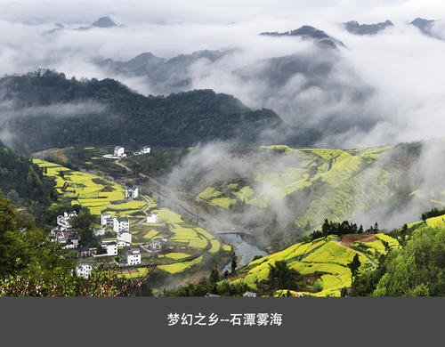 春天风景