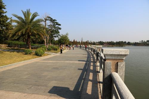美丽的海珠湖公园