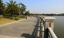 美丽的海珠湖公园