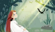 炎夏中的一丝清风