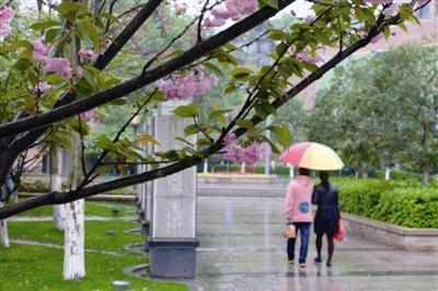 春雨