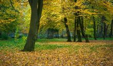 秋天的公园真美丽