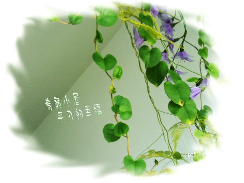 普通的幸福
