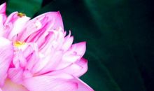 论人性与人生态度