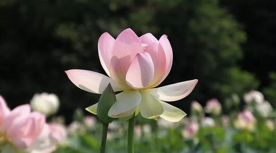 焕发心情