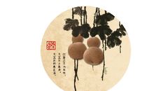 奶奶的二十四节气