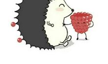 我的世界我做主