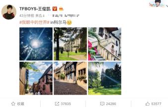 我眼中的追星者