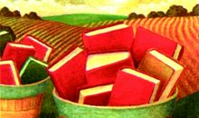 我的灵魂我的书