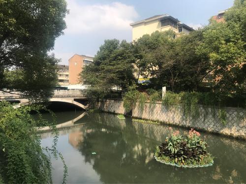 最吸引我的那条小河