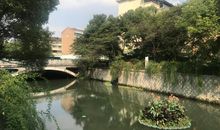 最吸引我的小河