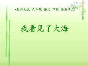 “我看见了大海”续
