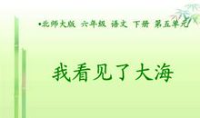 《我看见了大海》续写